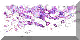 BTN04629.GIF (3KB)