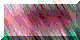 BTN04732.GIF (3KB)