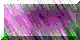 BTN04782.GIF (3KB)