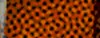 BTN04264.GIF (3KB)