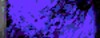 BTN04404.GIF (3KB)