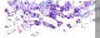BTN04679.GIF (3KB)