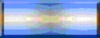 BTN05144.GIF (3KB)