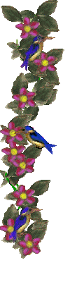 animbirds.gif (29KB)