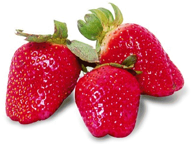 strawberry.gif (67KB)