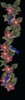 animbirds.gif (29KB)