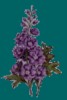 fl6a.gif (5KB)