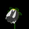 whiteBLK.gif (6KB)