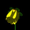 yellowBLK.gif (6KB)