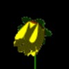 yellowCLR.gif (5KB)