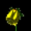 yellowSmCLR.gif (2KB)