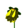yellowWHT.gif (5KB)