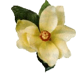 wflo4a.gif (11KB)