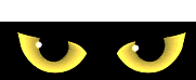 hackercat.gif (25KB)