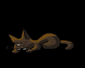 kedi2.gif (10KB)