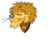 anilion1.gif (69KB)