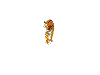 tiger.gif (39KB)