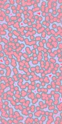 blood_cells.jpg (13KB)