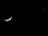 sp010.gif (1KB)