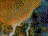 sp017.gif (2KB)