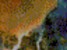 sp017.gif (2KB)