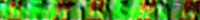 BAR066.GIF (8KB)